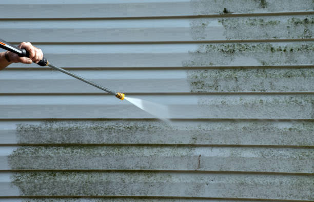 Best Residential Pressure Washing Services  in Birch Bay, WA