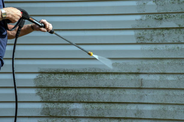 Best Roof Pressure Washing  in Birch Bay, WA