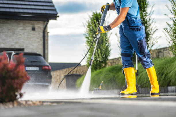Best Pressure Washing Driveway  in Birch Bay, WA